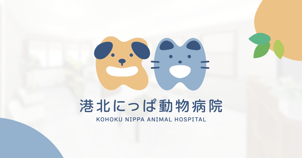 しっぽでハッピー おいでよ動物病院セット 説明欄必読⚠ おいでよ 動物病院! 全15巻完結セット (オフィスユーコミックス