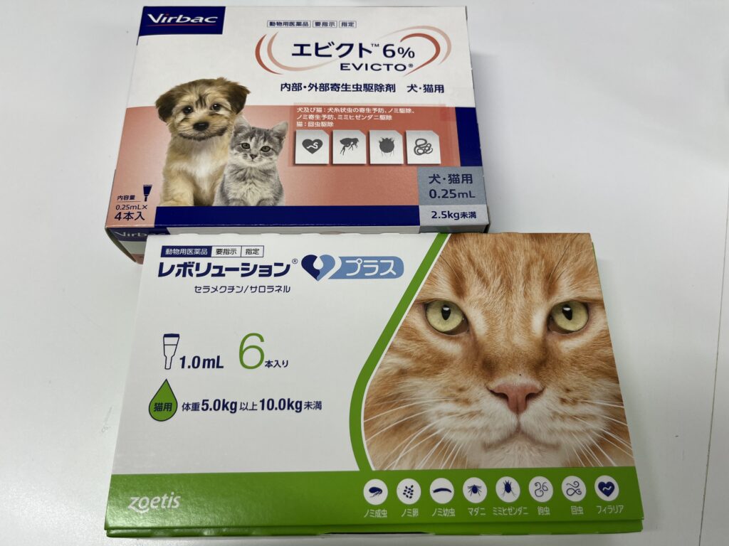 猫ちゃんで使用されるフィラリア薬